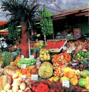 Exotischer Früchtemarkt in Münchern  "Exoten-Müller"